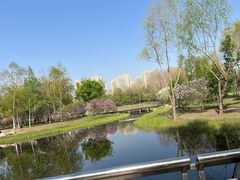 -群力丁香公园