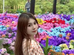 -洛阳白云山景区