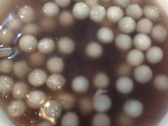 iphone_upload_pic-抚顺美食·老上海味道