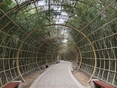 -济南植物园