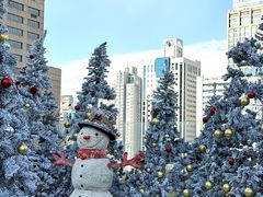 -城市露台景观餐厅(淮海路店)