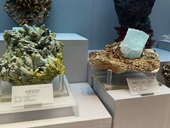 -湖南省地质博物馆