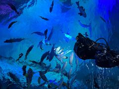 -沈阳海洋探索中心