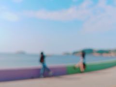 -枸杞岛