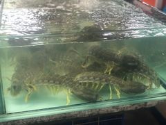 -班赞海鲜市场