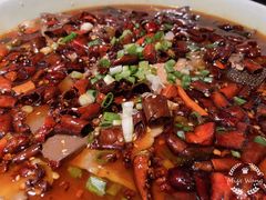 -陈麻婆豆腐总店