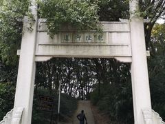 -苏州上方山国家森林公园