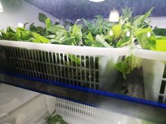 -黔府豆米火锅野菜馆(南马店)