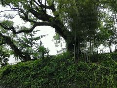 android_upload_pic-千岛湖龙川湾