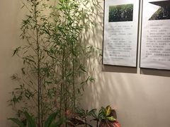 -十二舍·湯物素煮(江泰潤政店)
