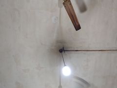 -温江公平红烧兔(总店)