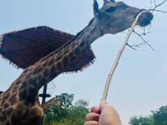 -济南野生动物世界