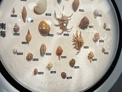 -海合安青岛极地海洋公园