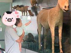 -中国湿地博物馆