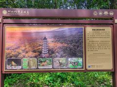 -紫金山山顶公园