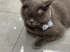 -贝利宠物医院·骨科·眼科·肿瘤转诊中心(南坪诊疗中心)
