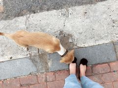 -林之六八·6886大连老菜馆