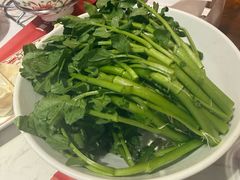 潮汕西洋菜-汕头八合里海记牛肉店(清河店)