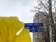 -晓港公园