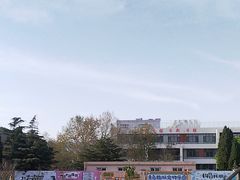 -趣玩宠物乐园寄养训犬训狗游泳池