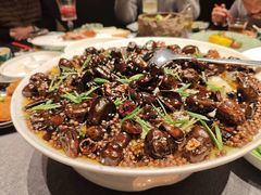 -桂满陇·海市蜃楼·黑金(国金店)