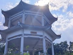 -广州市帽峰山景区