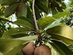 -中国移动南方基地