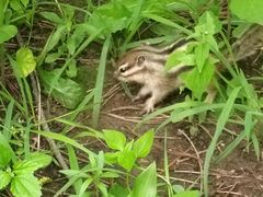 -长春市南湖公园