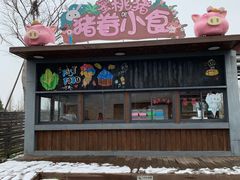 -田园东方蜜桃村的田野营地