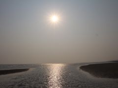 iphone_upload_pic-南汇嘴观海公园