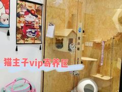 -宠小格时尚宠物生活馆(唐镇店)