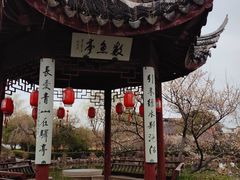 -司徒庙