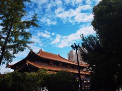 -西安大兴善寺