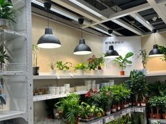 -宜家家居(高新商场店)