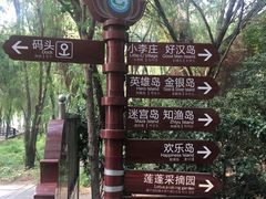 -微山湖红荷湿地景区