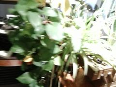 -84那年咖啡馆(李沧万达店)