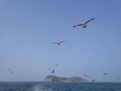 -海驴岛(荣成市)