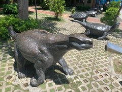 -广东惠东海龟国家级自然保护区