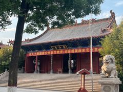 -大槐树寻根祭祖园