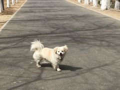 -东郊湿地公园
