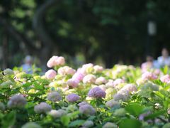 -渭滨公园