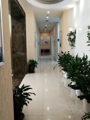 -碧莲盛·不剃发植发
