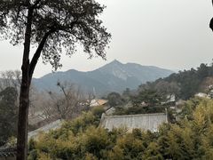 -潭柘寺景区
