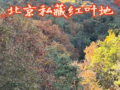 -阳台山自然风景区