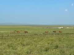 -呼伦贝尔大草原巴尔虎蒙古部落民俗旅游度假景区