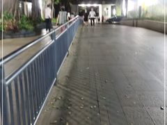 -人民公园(罗湖区)