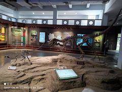 -自贡恐龙博物馆