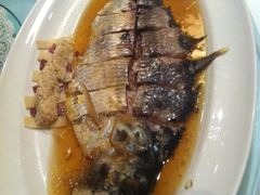 清蒸鲥鱼-福1039(愚园路店)