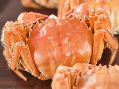 -乡乐园蟹庄·阳澄湖农家乐