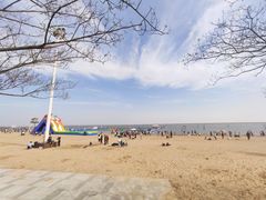 -碧海金沙